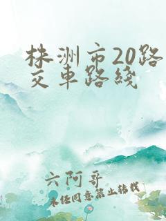 株洲市20路公交车路线