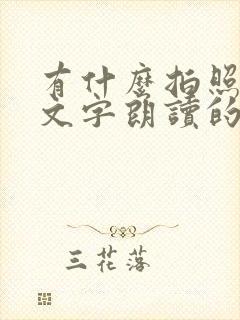 有什么拍照提取文字朗读的软件吗