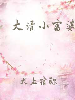 大清小富婆