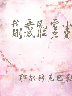 我乘风雪小说无删减版免费阅读