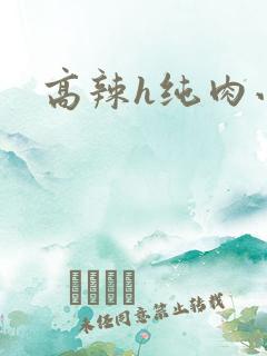 高辣h纯肉小说