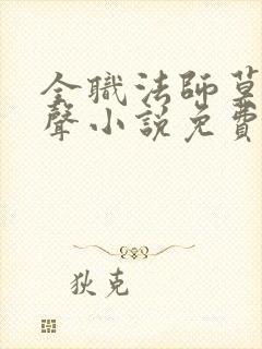 全职法师莫凡有声小说免费全本完整版