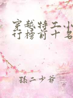 穿越特工小说排行榜前十名