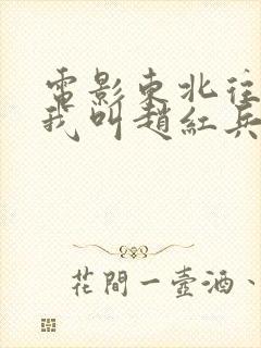 电影东北往事之我叫赵红兵