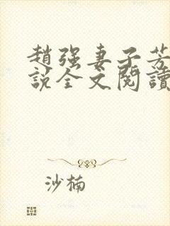 赵强妻子芳姨小说全文阅读