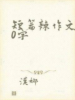 短篇辣作文500字