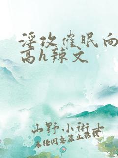 淫攻催眠向np高h辣文