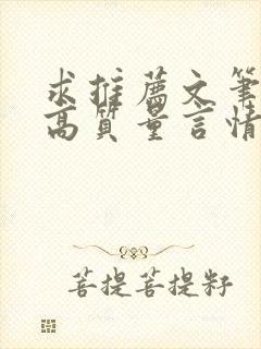 求推荐文笔好的高质量言情小说