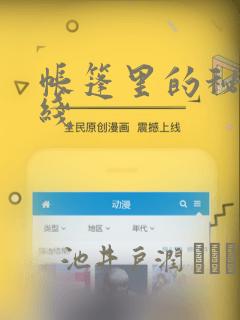 帐篷里的秘密在线：结局+番外