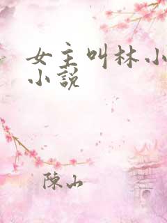 女主叫林小晚的小说