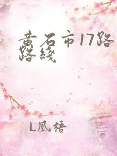 黄石市17路车路线