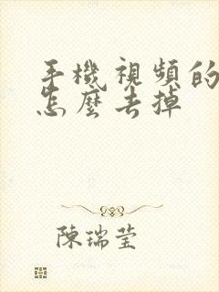 手机视频的原声怎么去掉