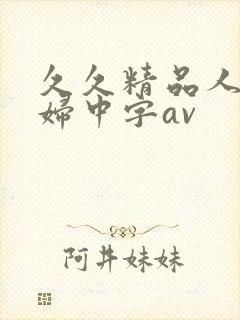 久久精品人妻少妇中字av