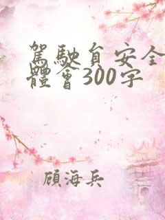 驾驶员安全心得体会300字