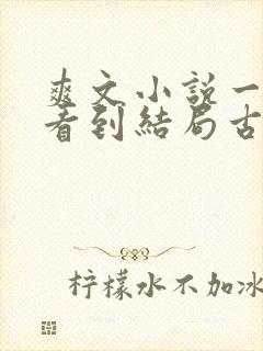 爽文小说一口气看到结局古言