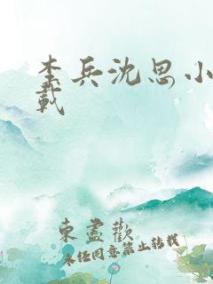 李兵沈思小说下载