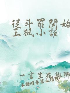 从斗罗开始打卡王枫小说