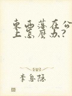 东西落在公交车上怎么办?