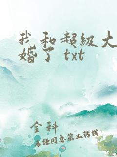 我和超级大佬隐婚了 txt