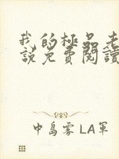 我的极品老婆小说免费阅读全文