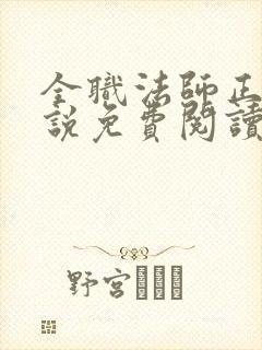 全职法师正版小说免费阅读