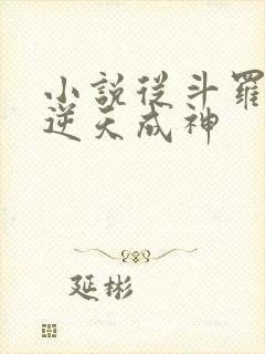 小说从斗罗开始逆天成神