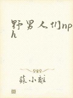 野男人们np高h