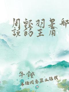 周轻羽是哪部小说的主角