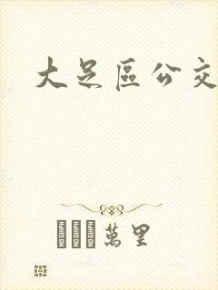 大足区公交线路