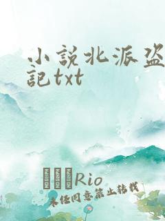 小说北派盗墓笔记txt 小说北派盗墓笔记txt