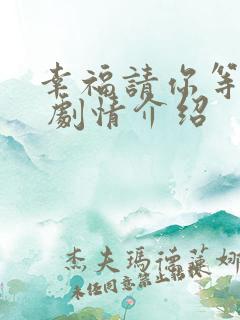 幸福请你等等我 剧情介绍