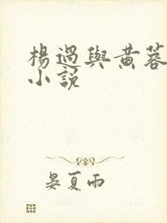 杨过与黄蓉云雨小说 杨过与黄蓉云雨小说