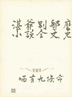 湛爷别那么暴躁小说全文免费阅读