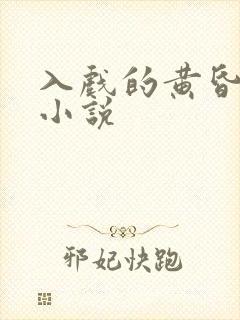 入戏的黄昏在线小说