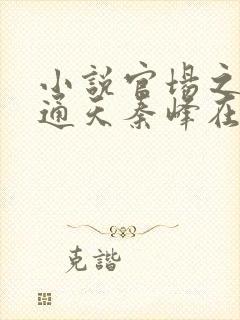 小说官场之手眼通天秦峰在线阅读