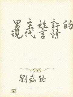 男主姓许的小说现代言情