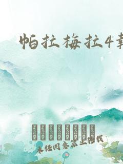 帕拉梅拉4报价