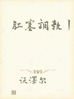 肛塞调教丨vk