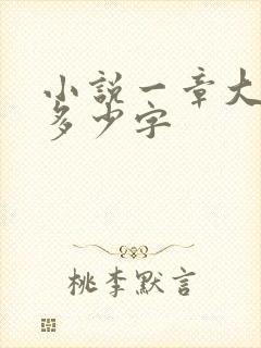 小说一章大概有多少字 小说一章大概有多少字