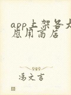 app上架各大应用商店