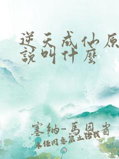 逆天成仙原著小说叫什么