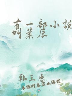 有一部小说主角叫叶辰