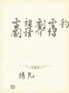 电视剧雪豹特战剧情介绍