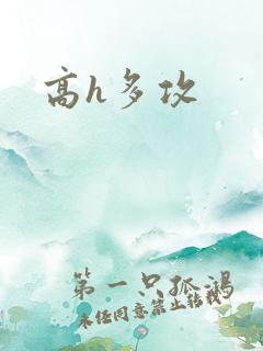 高h多攻
