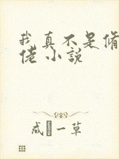 我真不是修仙大佬 小说