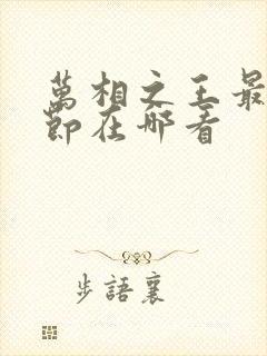 万相之王最新章节在哪看
