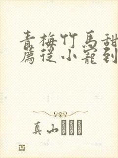 青梅竹马甜文推荐从小宠到大