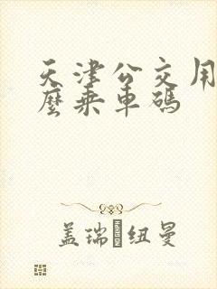 天津公交用的什么乘车码