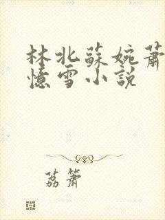 林北苏婉萧晴韩忆雪小说 林北苏婉萧晴韩忆雪小说