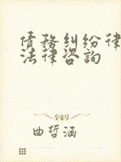 债务纠纷律师 法律咨询
